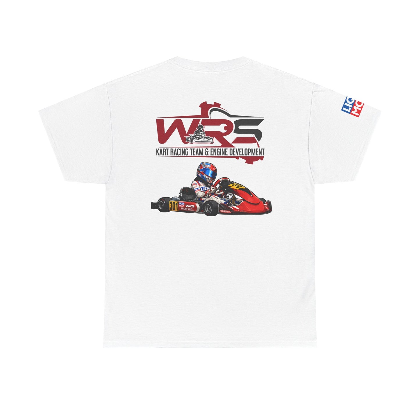 WRS Driver - Arthur Nahapetyan 301