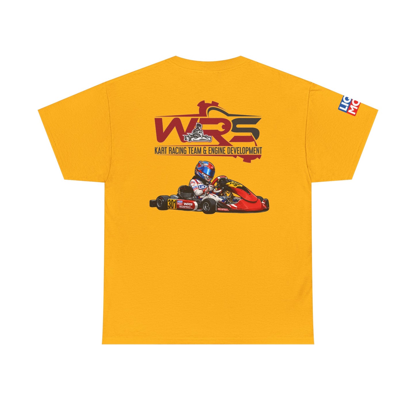 WRS Driver - Arthur Nahapetyan 301