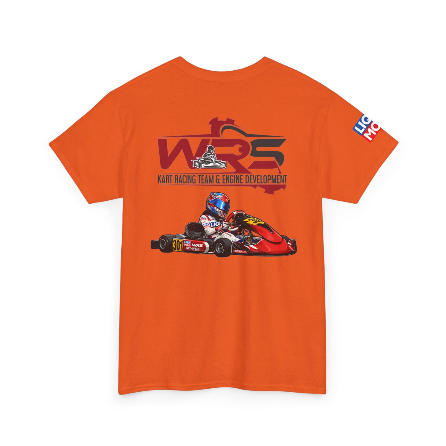 WRS Driver - Arthur Nahapetyan 301